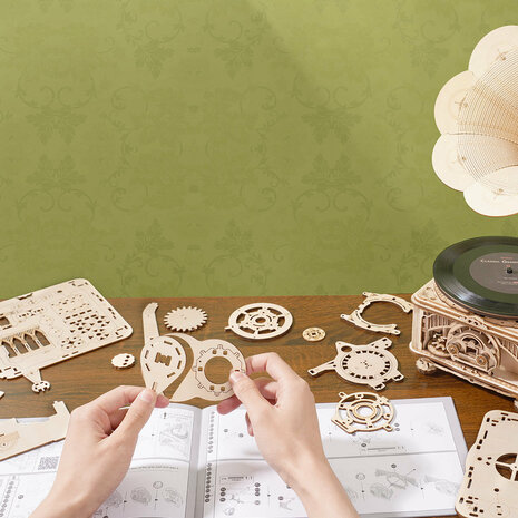 3D Houten Bouwpakket "Classic Gramophone"